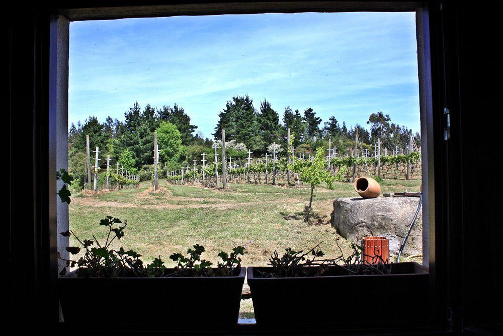 H&Ap Rural Merrutxu Ibarrangelu Exterior photo